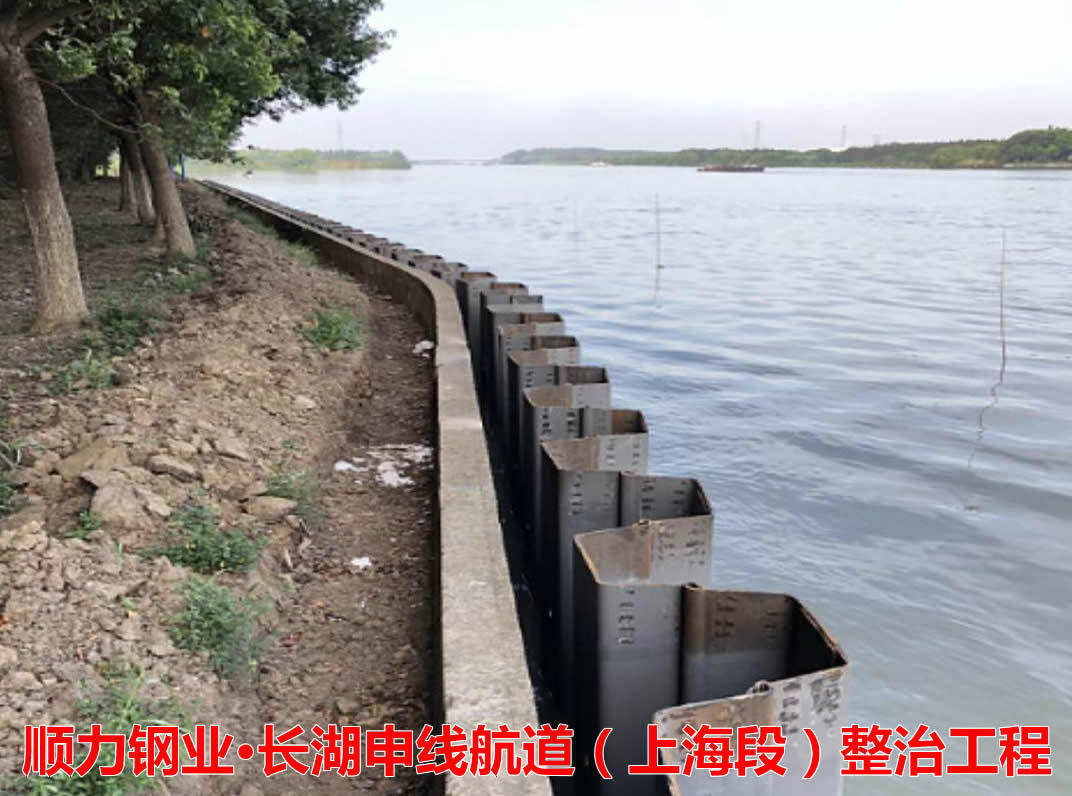 江蘇順力鋼業(yè)申報(bào)的《關(guān)于采用冷彎鋼板樁加固堤壩能有效提高堤壩安全》可行性研究報(bào)告通過專家評(píng)估